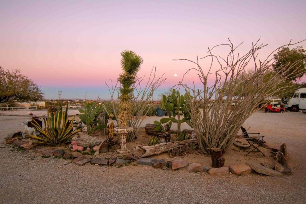 Joshua Tree Ranch House Motel - Downtown - Room #4 Exterior foto