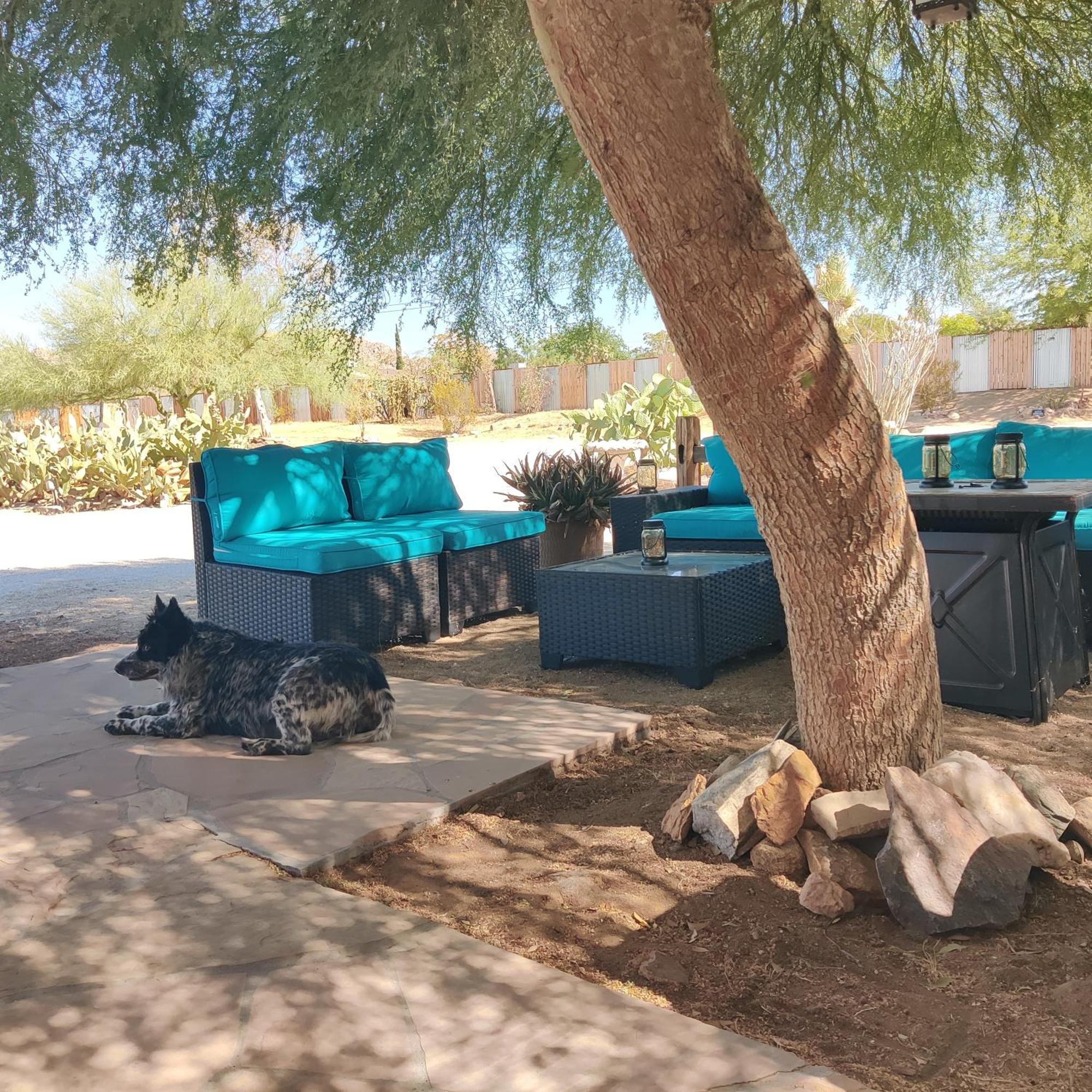Joshua Tree Ranch House Motel - Downtown - Room #4 Exterior foto
